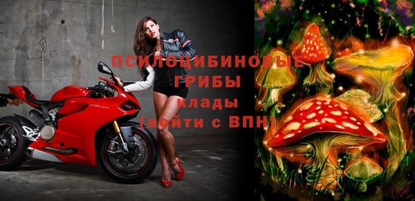молекула духа Баксан